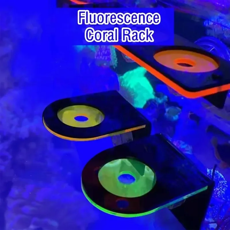 Marine Aquarium Reef - Aquarium Acryl Fluorescerende Koraal Beugels Houder