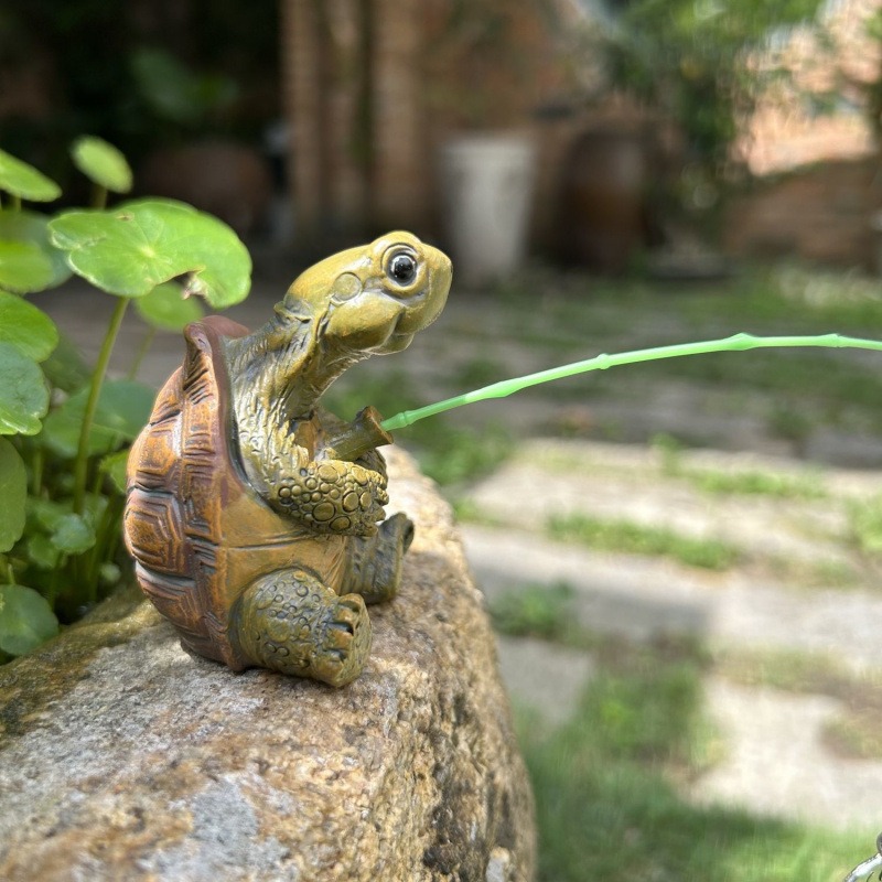 Schildpadvissen aquarium aquar - Aquarium Marine Tank recensie en prijs
