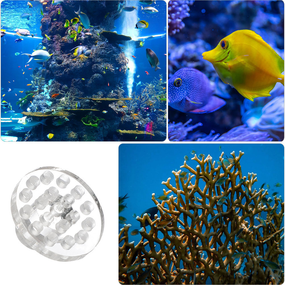 10 stuks acryl koraal frag rac - Marine Aquarium Reef recensie en prijs