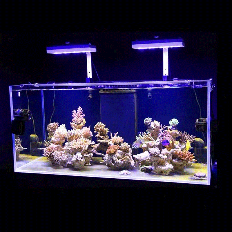 Aqua Lighting AI Hydra 32HD/64 - Marine Aquarium Reef recensie en prijs