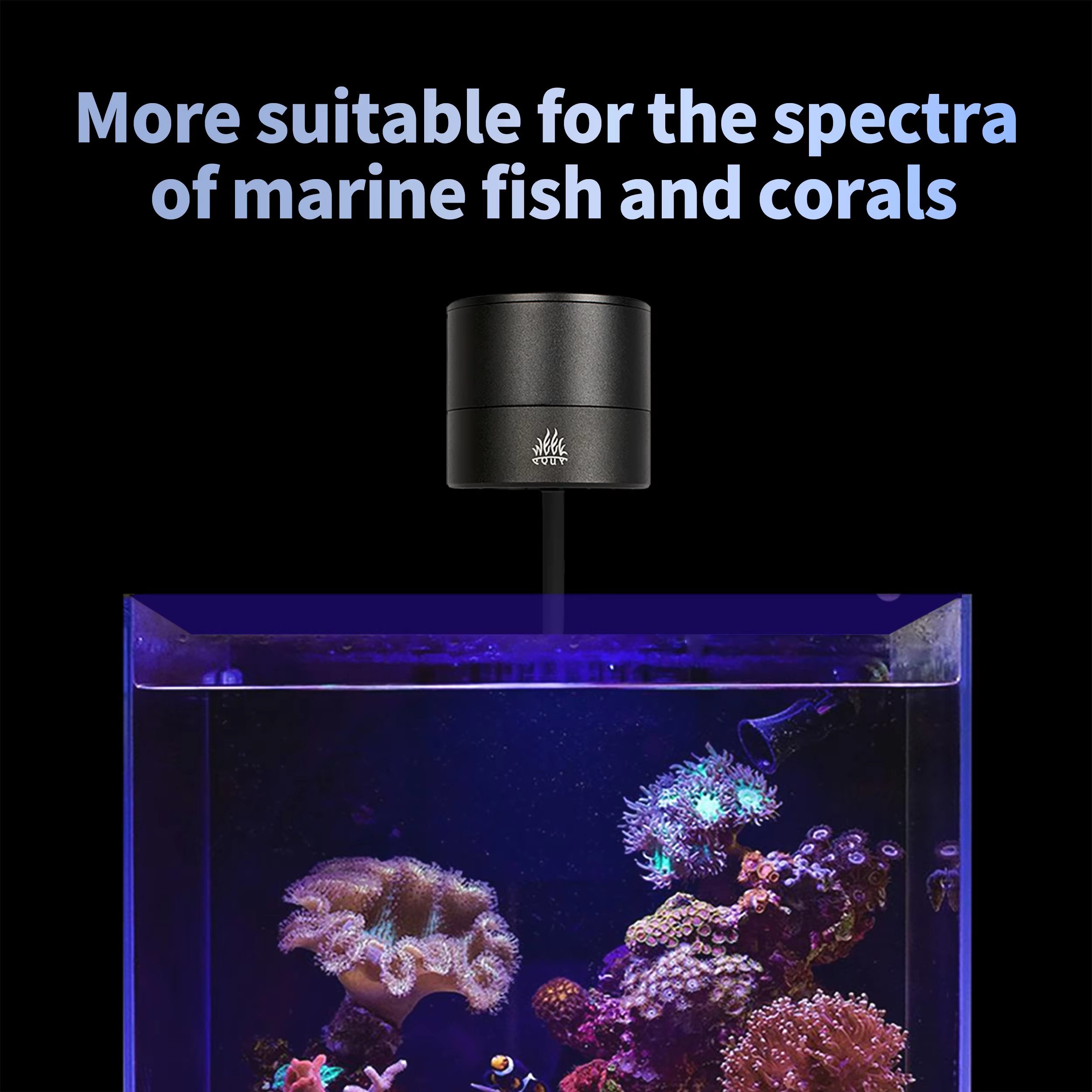WEEK AQUA Aquariumverlichting  - Aquarium Marine Salt recensie en prijs