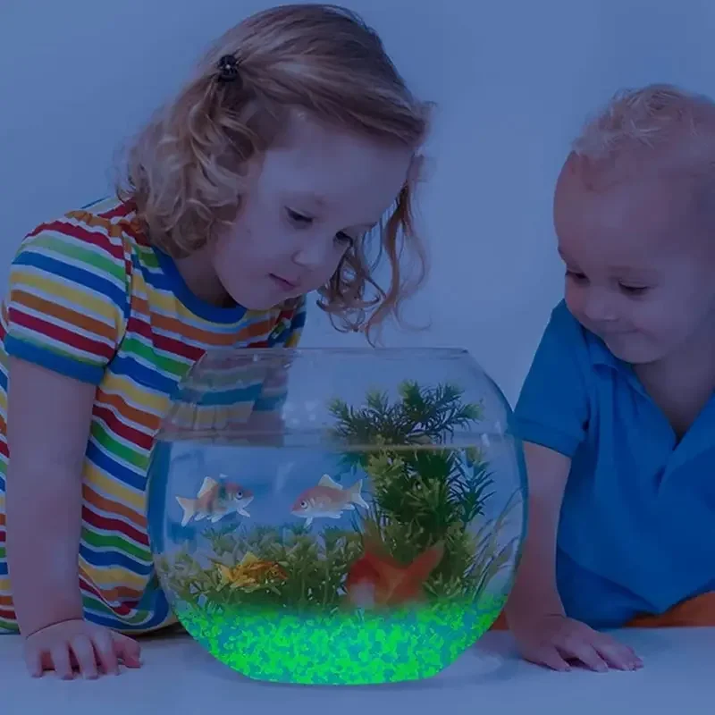 1000 stks 3-5mm Lichtgevende Z - Aquarium Marine Tank recensie en prijs