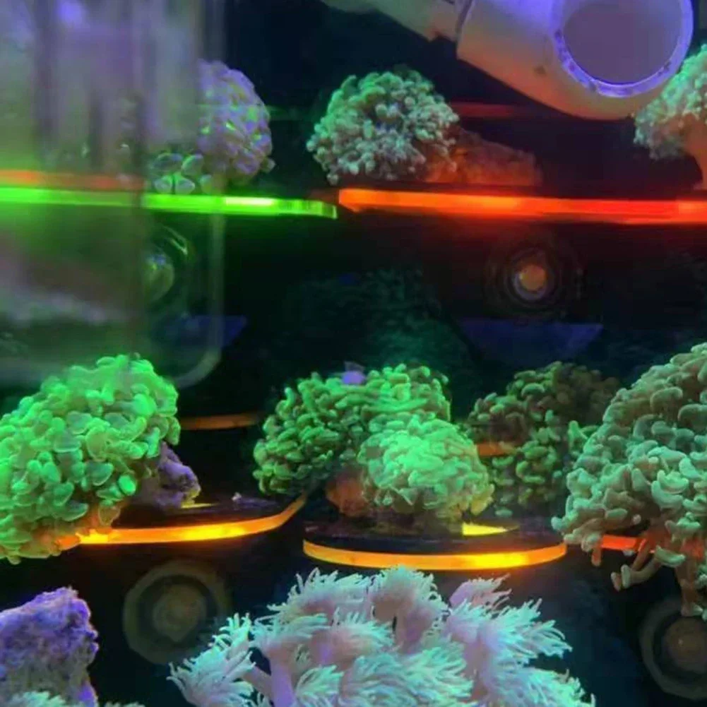 Aquarium Acryl Fluorescerende  - Marine Aquarium Reef recensie en prijs