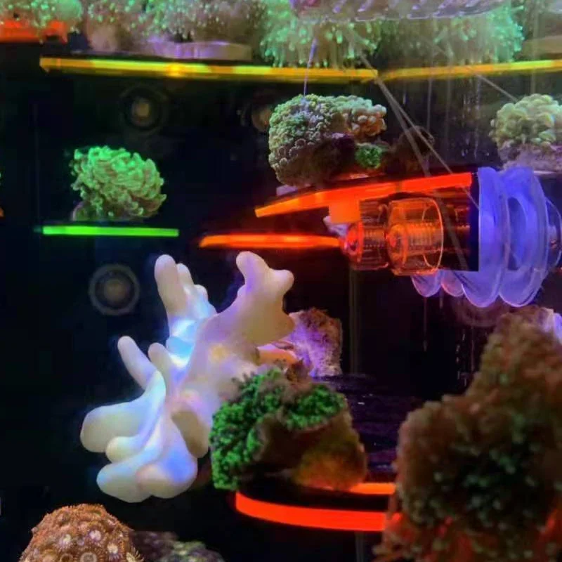 Aquarium Acryl Fluorescerende  - Marine Aquarium Reef recensie en prijs